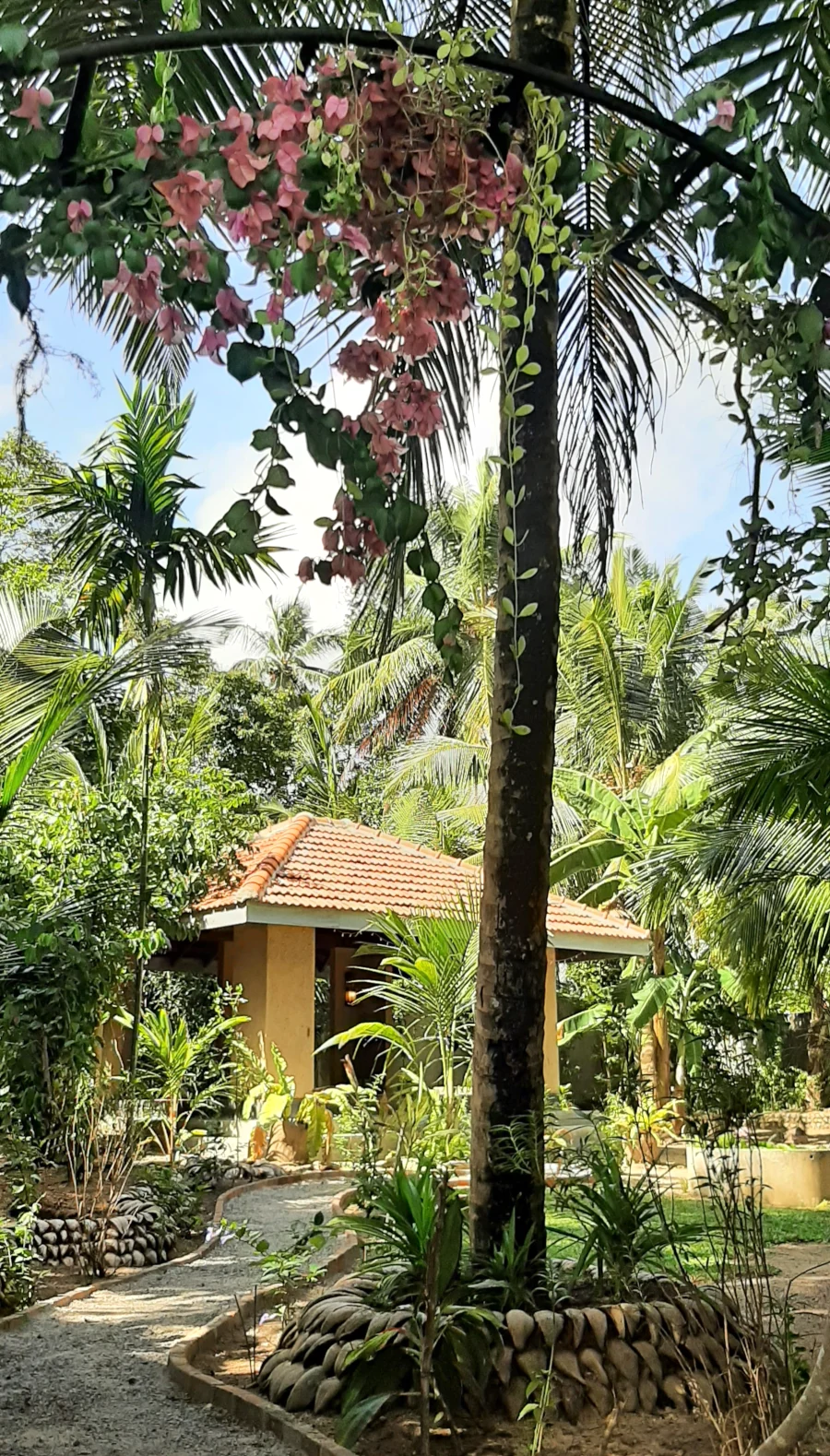 Herbalgarten und Yogapavillon
