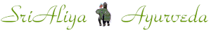 Elefant